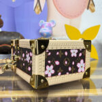 Louis Vuitton X TM Camera Box M14173 Brown